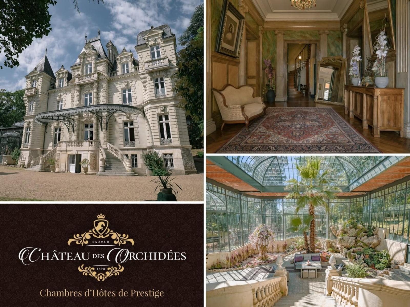 Chateau Des Orchidees En Val De Loire Saumur Exteriör bild